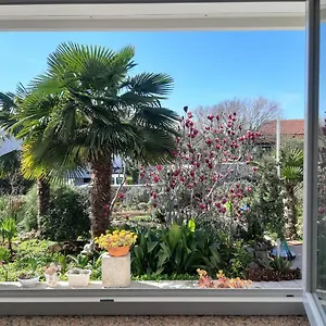 https://apartments-summer-bloom.primorje-gorskikotar.com