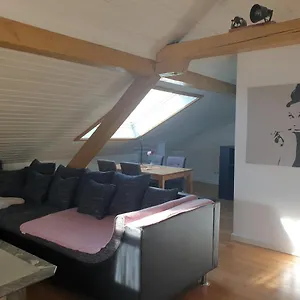 Ferienwohnung Floesserstube Apartment