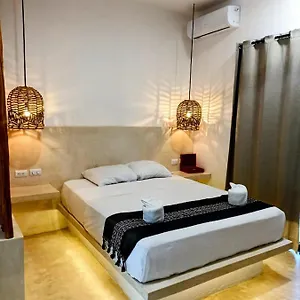 https://estudios-ejecutivos.quintano-roohotels.com
